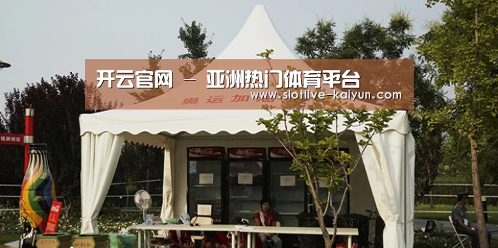 案例标题五