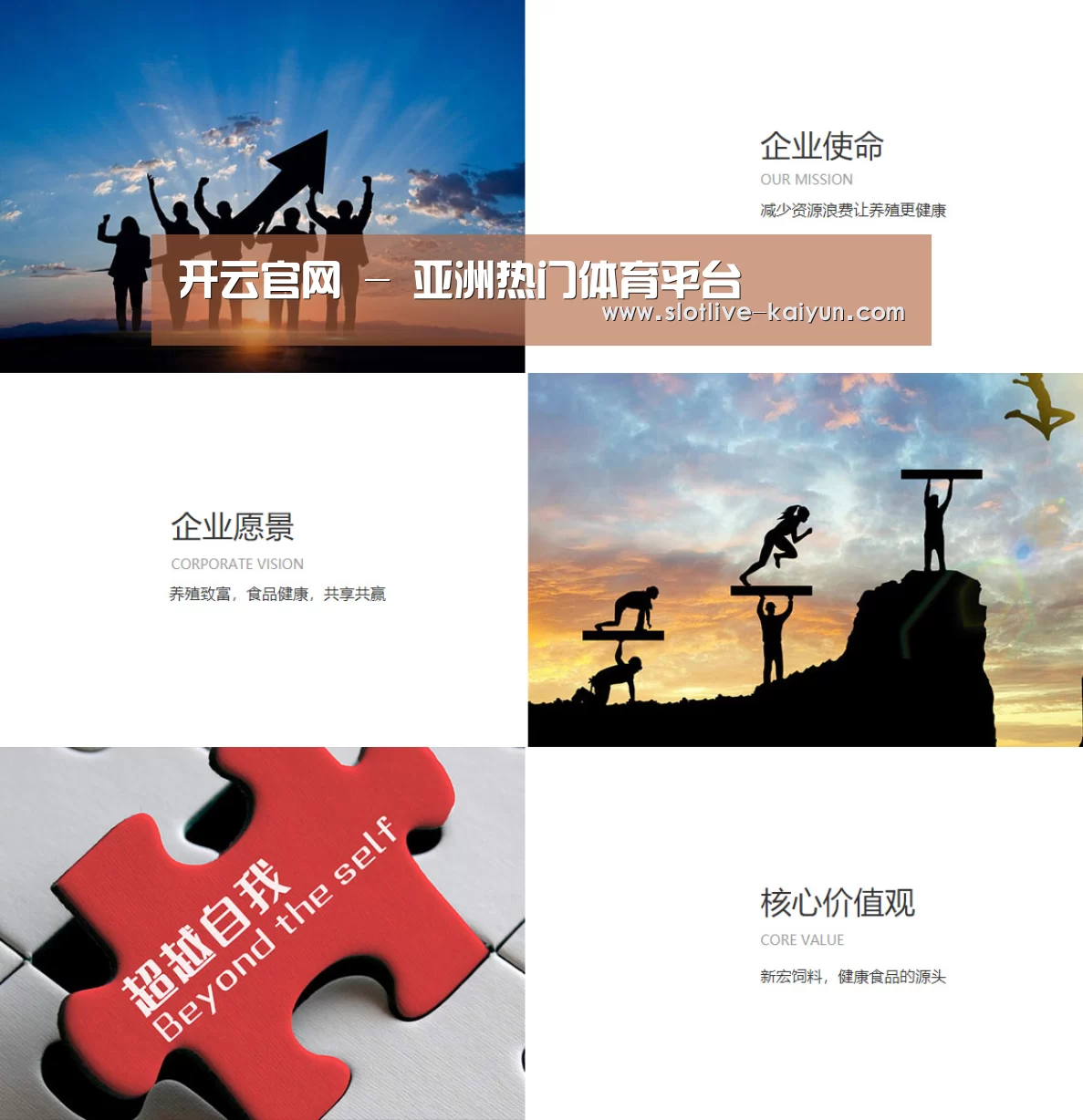 企业文化(图1)