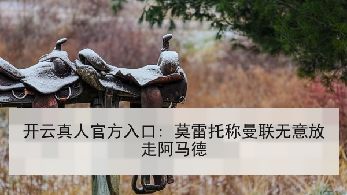 开云真人官方入口: 莫雷托称曼联无意放走阿马德