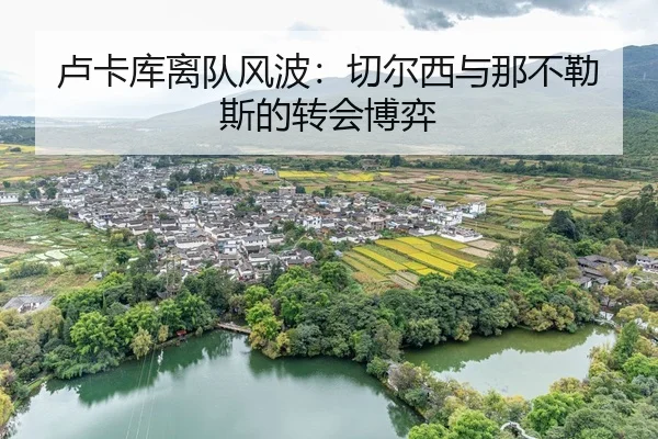 lu-ka-ku-li-dui-feng-bo-qie-er-xi-yu-na-bu-le-si-de-zhuan-hui-bo-yi-3-466.jpg