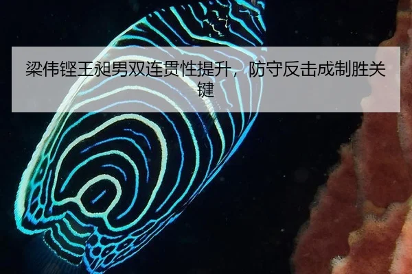 liang-wei-keng-wang-chang-nan-shuang-lian-guan-xing-ti-sheng-fang-shou-fan-ji-cheng-zhi-sheng-guan-jian-2-945.jpg