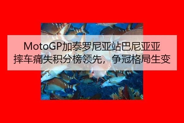 MotoGP加泰罗尼亚站巴尼亚亚摔车痛失积分榜领先，争冠格局生变