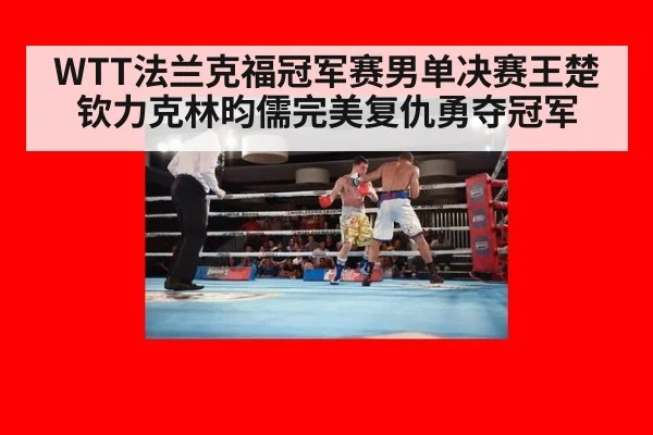 WTT法兰克福冠军赛男单决赛王楚钦力克林昀儒完美复仇勇夺冠军