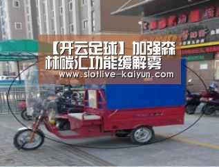 【开云足球】加强森林碳汇功能缓解雾霾天气