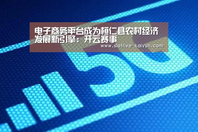 电子商务平台成为桓仁县农村经济发展新引擎:开云赛事(图2) 开云篮球