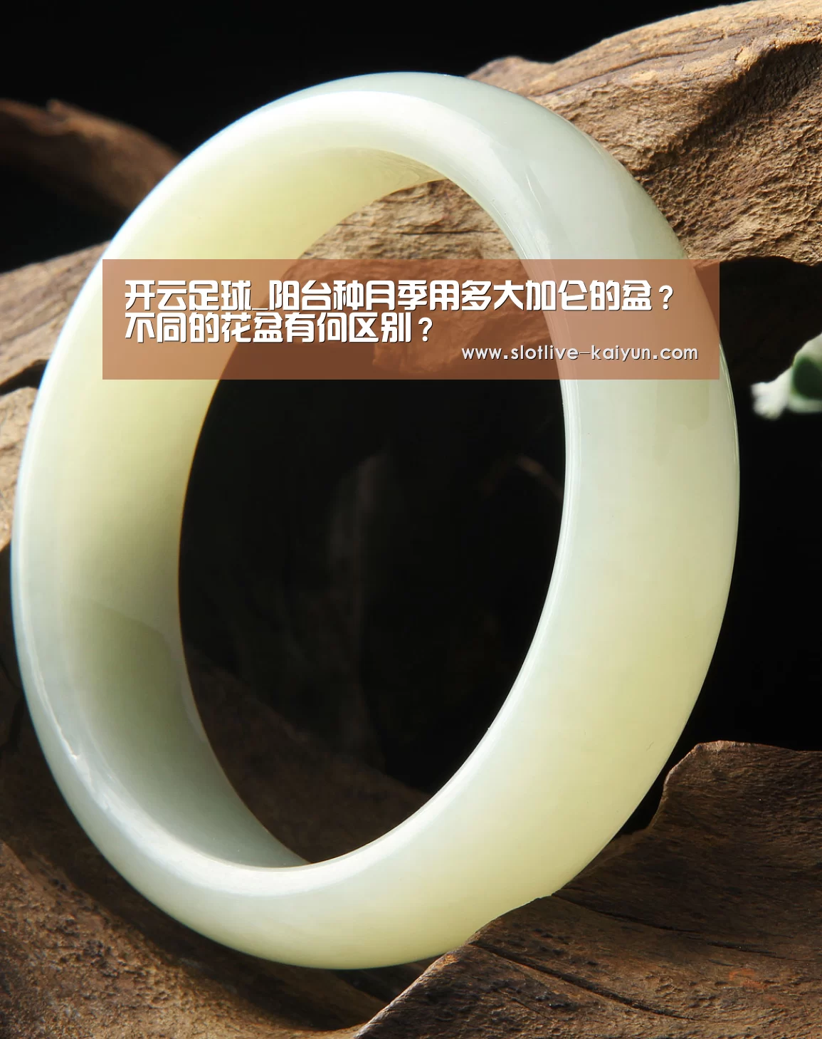 开云足球_阳台种月季用多大加仑的盆?不同的花盆有何区别?