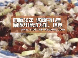 时隔30年 这两只小老鼠还开得动飞机、坦克吗?‘开云赛事’