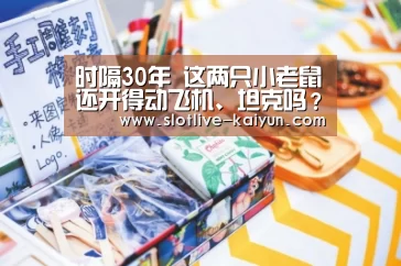 时隔30年 这两只小老鼠还开得动飞机、坦克吗?‘开云赛事’(图2) 开云赛事