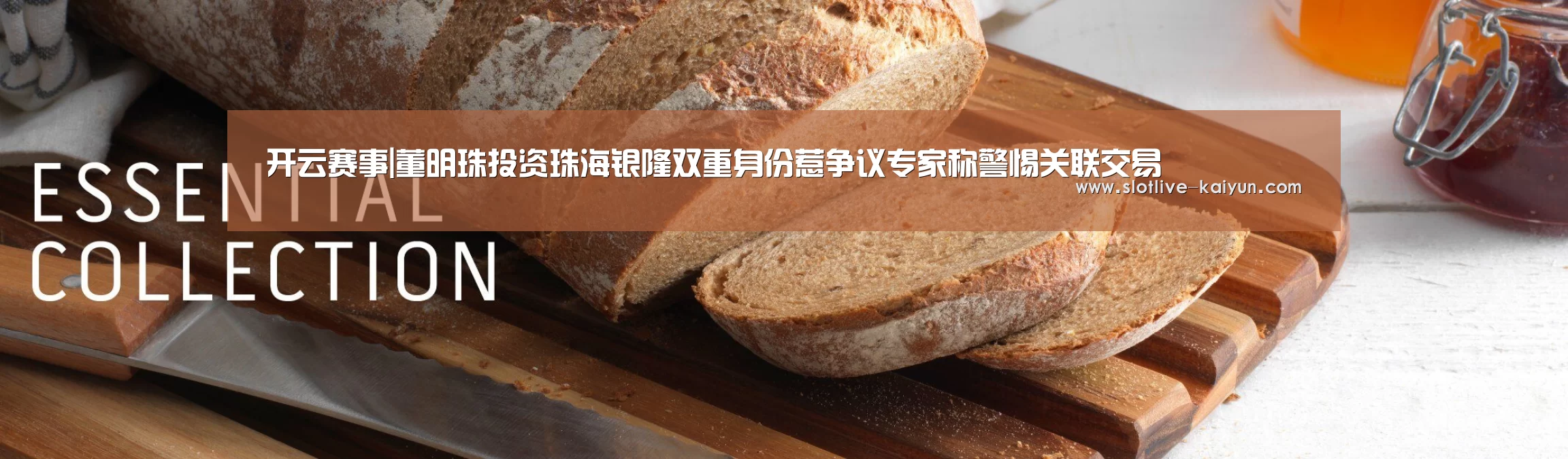 开云赛事|董明珠投资珠海银隆双重身份惹争议专家称警惕关联交易(图3) 开云篮球