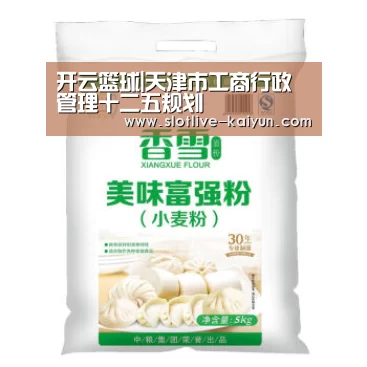 开云篮球|天津市工商行政管理十二五规划